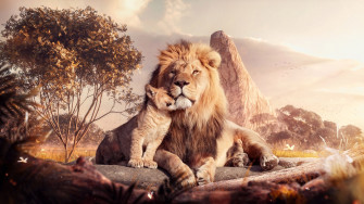HD Lion Wallpaper Desktop