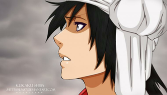 Bleach Kukaku Shiba By Sln87