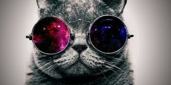 Funny Wallpaper HD For And Whatsapp