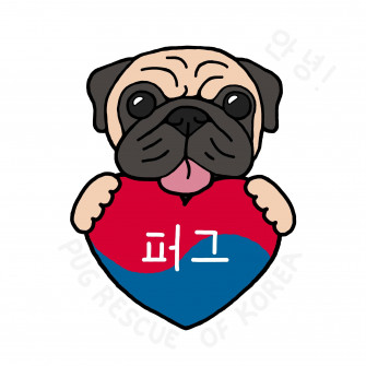 Pug Rescue Of Korea Nonprofit Organization