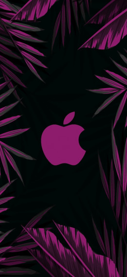 iPhone Wallpaper Aesthetic