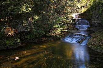 Beautiful Trout Stream River Pictures