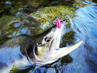 Tenkara Simple Fly Fishing Method From Japan Uses Only A