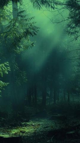Misty Forest Wallpaper iPhone Teahub Io