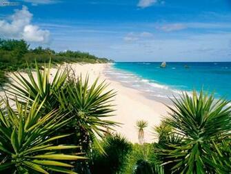 Bermuda Wallpaper