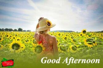 Good Afternoon Quotes Wishes Message With Image Photos New