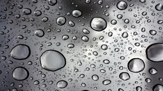 Rain Water Droplets Wallpaper