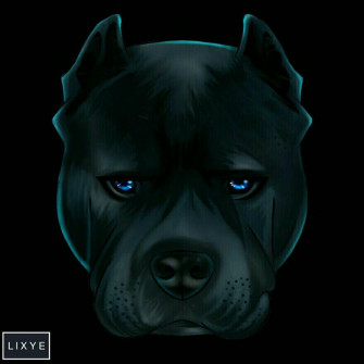 Pitbull Wallpaper By Llxye