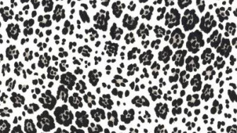 Leopard Print Wallpaper HD