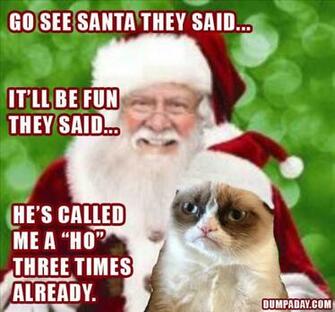 Laugh At Funniest Grumpy Cat Pictures