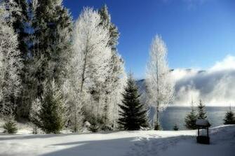 HD Winter Sunny Cold Wallpaper S HDwallpaperdesign