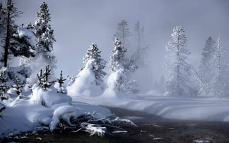 HD Winter Desktop Wallpaper