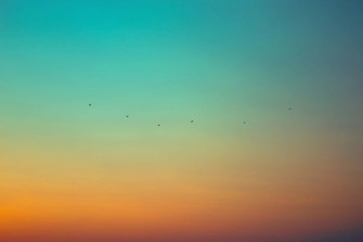 Orange And Teal Wallpaper