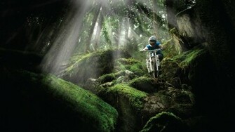 Mountain Biking Wallpaper