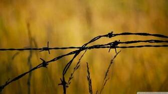 Barbed Wire Wallpaper Wallpoper