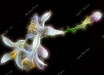 Fractal Image Delicate Lime Flowers Contrasting Black Background