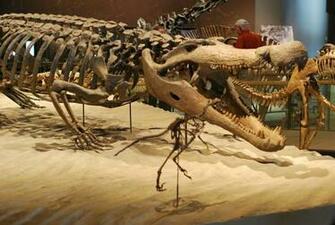 What Scared Dinosaurs The Terror Croc Science Smithsonian