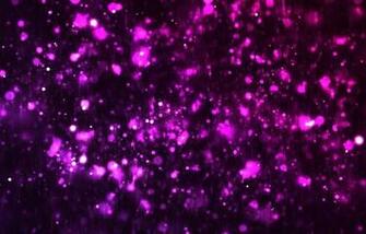 Purple Rain Prince My Music