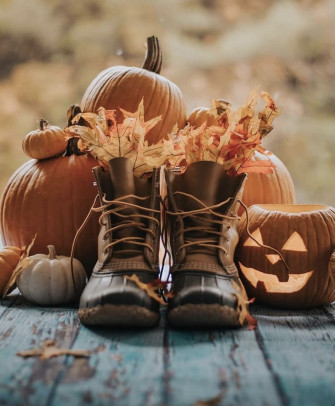 Fall Inspo Autumn Inspiration Picture Photos October Wallpaper