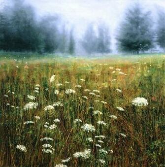 Jon R Friedman Limited Edition Prints Queen Anne S Lace