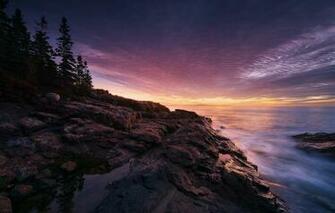 Maine Usa Coast Sunset Tree Rock Wallpaper Photos Pictures