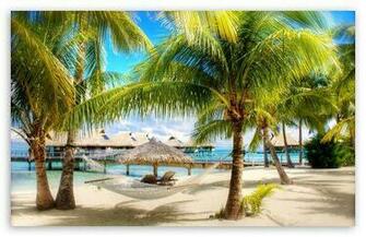 Tropical Beach Resort Digital Wallpaper Black