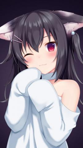 Anime Black Cat HD Wallpaper Wallpapertip