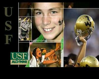 Usf Alumni Wallpaper
