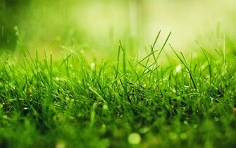 Wallpaper Desk Rain Nature Wallpaperwallpaper