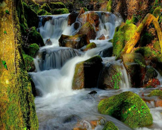 Bking Waterfall Screensaver
