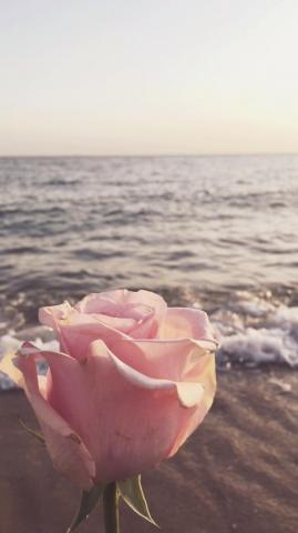 Pretty Aesthetic Wallpaper Top