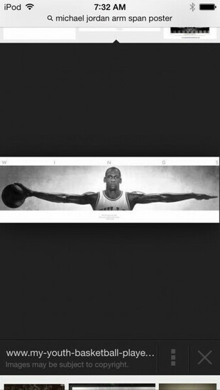 Michael Jordan Wings Pictures