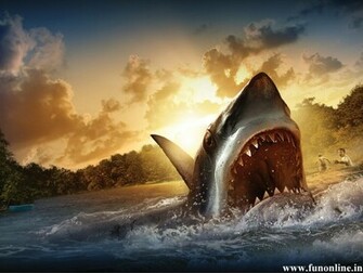 Shark Wallpaper Deadly White Sharks HD