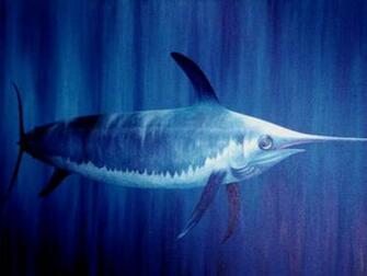 Swordfish Wallpaper Animals Town