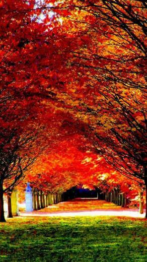Cool Samsung Galaxy S5 Wallpaper