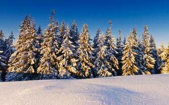 Winter Sunrise