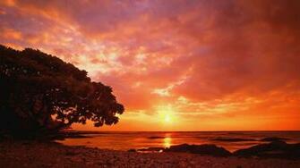 Ocean Sunset Background HD Wallpaper Background