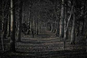 Scary Forest Cartoon Spooky Desktop Wallpaper