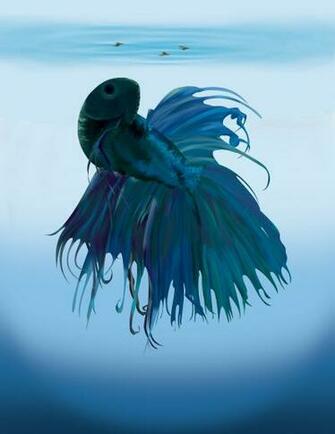 Cartoon Beta Fish Picture Wallpaper Pictures