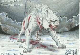 Kiba Wolfs Rain Wallpaper Wolf S By