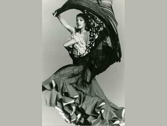 Flamenco Wallpaper Art Print Poster Desktop