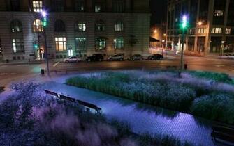 HD Colorful Light At City Park Night Wallpaper