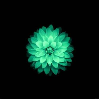 Wallpaper Apple Retina iPad Vert