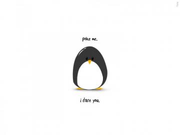 Background Penguin Wallpaper Penguins Funny