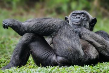 Funny Animal Pictures Cute Photos Of Wild Animals