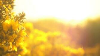 Inspirational Background Pictures