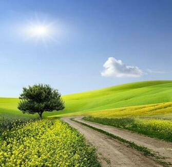 Spring Wallpaper HD