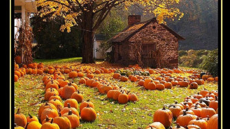 Fall Wallpaper With Pumpkins
