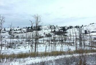 Stock Frozen Pond By SimplyBackground