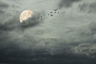 Stormy Sky Background By Firesign24